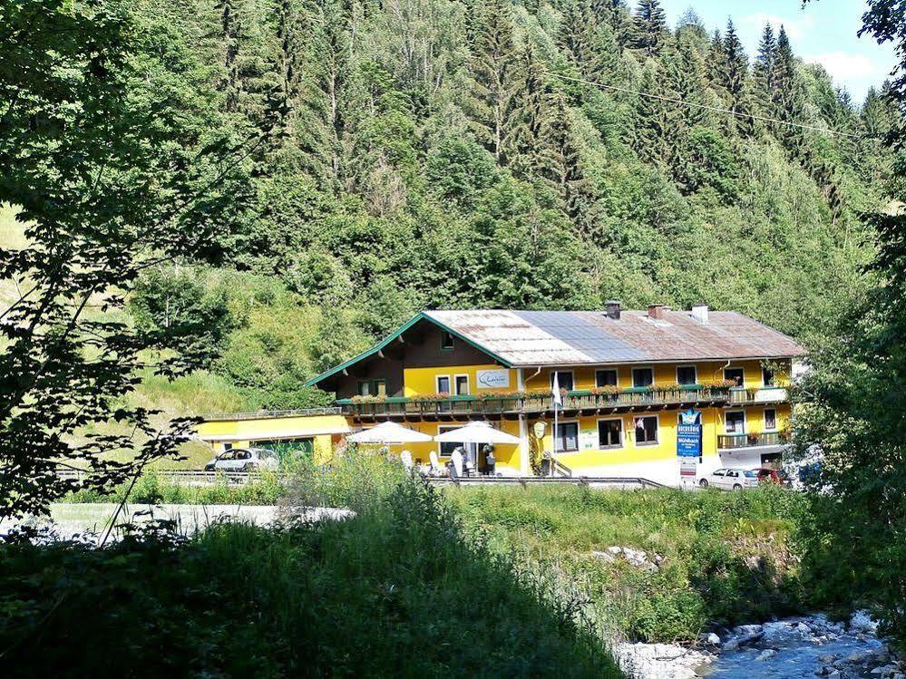 Hotel-Restaurant Bike&Snow Lederer Mühlbach am Hochkönig 외부 사진